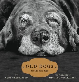2008_1217_Old_Dogs_cover